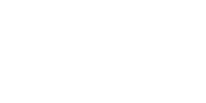 logo-ernieball